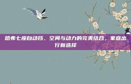 哈弗七座自动挡,空间与动力的完美结合,家庭出行新选择