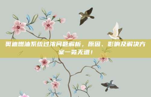 奥迪燃油系统过浓问题解析,原因、影响及解决方案一览无遗!
