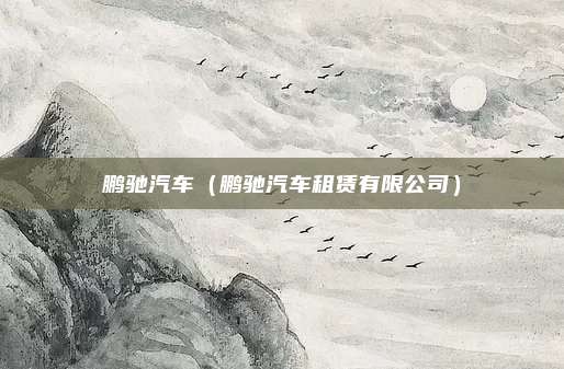鹏驰汽车（鹏驰汽车租赁有限公司）