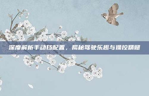 深度解析手动挡配置,揭秘驾驶乐趣与操控精髓