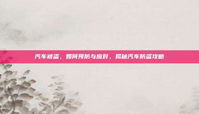 汽车被盗,如何预防与应对,揭秘汽车防盗攻略
