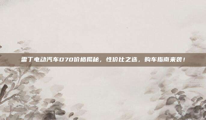 雷丁电动汽车D70价格揭秘，性价比之选，购车指南来袭！