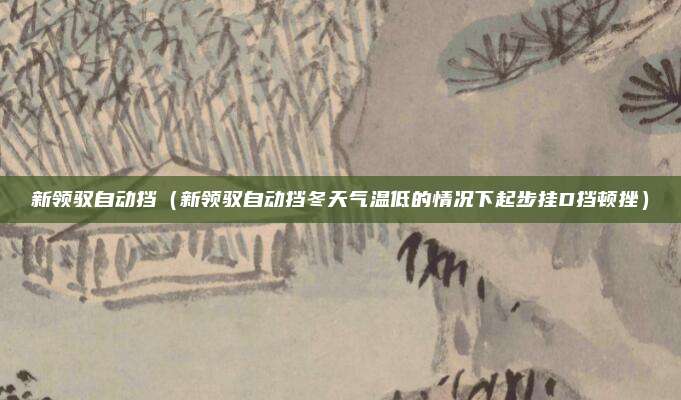 新领驭自动挡(新领驭自动挡冬天气温低的情况下起步挂D挡顿挫)