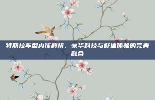 特斯拉车型内饰解析,豪华科技与舒适体验的完美融合