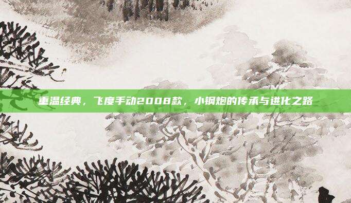 重温经典,飞度手动2008款,小钢炮的传承与进化之路