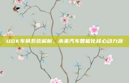 UDK车辆系统解析，未来汽车智能化核心动力源