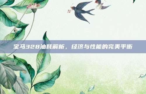 宝马328油耗解析,经济与性能的完美平衡