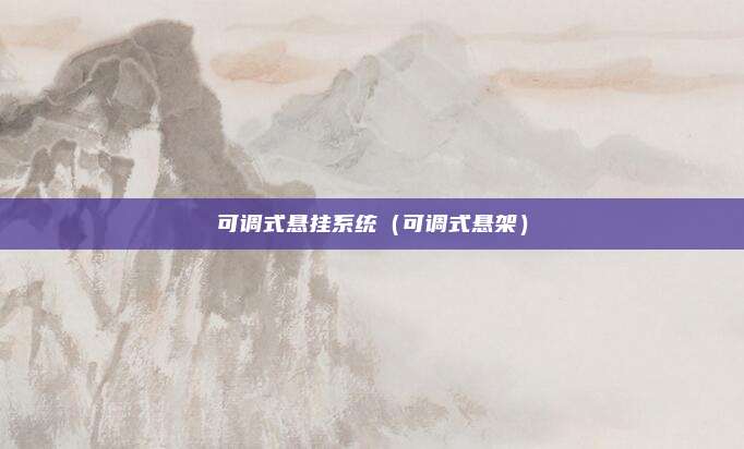 可调式悬挂系统（可调式悬架）