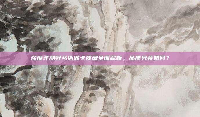 深度评测野马斯派卡质量全面解析,品质究竟如何?
