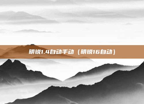 明锐1.4自动手动（明锐16自动）
