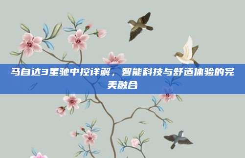 马自达3星驰中控详解,智能科技与舒适体验的完美融合
