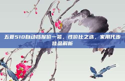 五菱510自动挡报价一览,性价比之选,家用代步佳品解析