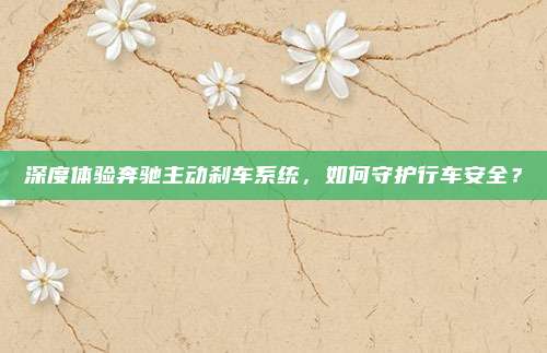 深度体验奔驰主动刹车系统,如何守护行车安全?