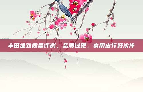 丰田逸致质量评测,品质过硬,家用出行好伙伴