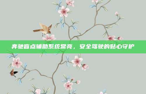奔驰盲点辅助系统常亮,安全驾驶的贴心守护