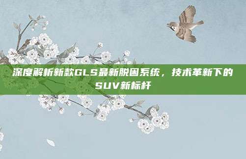 深度解析新款GLS最新脱困系统,技术革新下的SUV新标杆