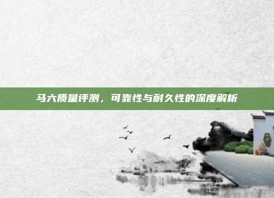 马六质量评测,可靠性与耐久性的深度解析