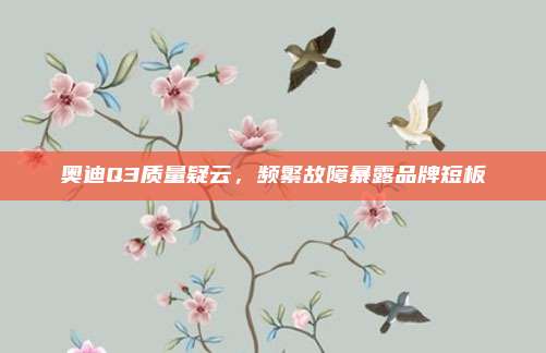奥迪Q3质量疑云,频繁故障暴露品牌短板