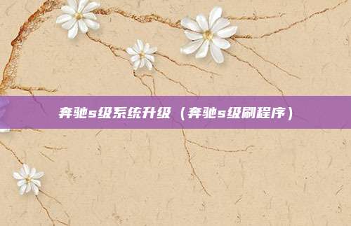 奔驰s级系统升级（奔驰s级刷程序）
