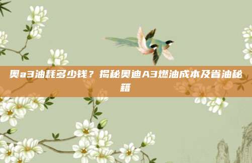 奥a3油耗多少钱?揭秘奥迪A3燃油成本及省油秘籍