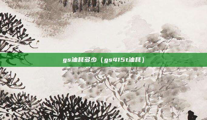 gs油耗多少（gs415t油耗）