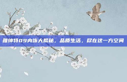 雅绅特09内饰大揭秘,品质生活,尽在这一方空间