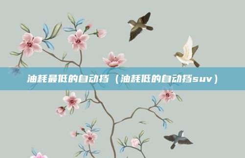 油耗最低的自动挡（油耗低的自动挡suv）
