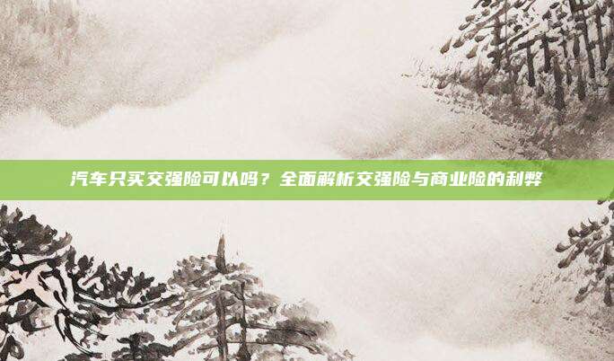 汽车只买交强险可以吗?全面解析交强险与商业险的利弊