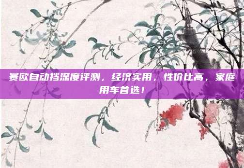 赛欧自动挡深度评测,经济实用,性价比高,家庭用车首选!