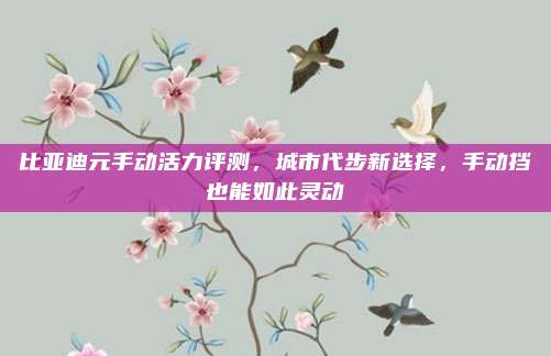 比亚迪元手动活力评测,城市代步新选择,手动挡也能如此灵动