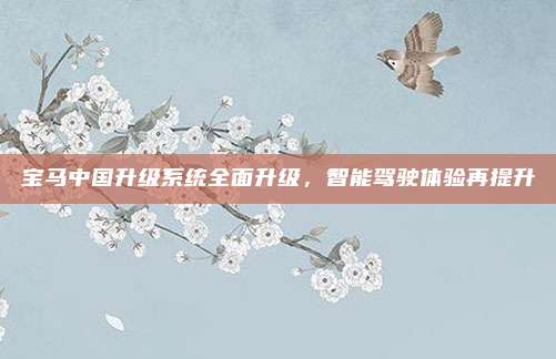 宝马中国升级系统全面升级,智能驾驶体验再提升