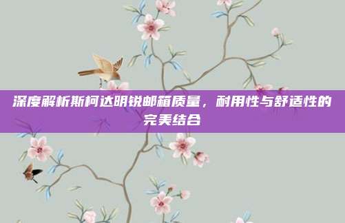 深度解析斯柯达明锐邮箱质量,耐用性与舒适性的完美结合