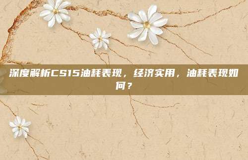 深度解析CS15油耗表现,经济实用,油耗表现如何?
