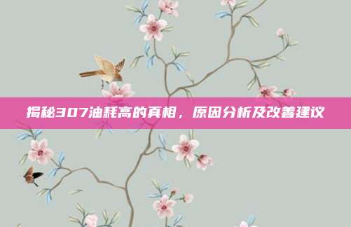 揭秘307油耗高的真相,原因分析及改善建议