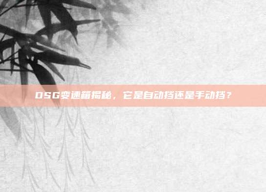 DSG变速箱揭秘,它是自动挡还是手动挡?