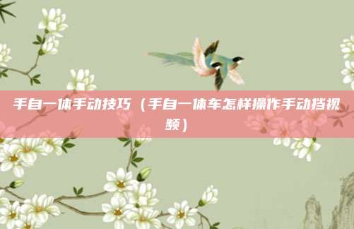 手自一体手动技巧（手自一体车怎样操作手动挡视频）