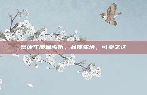 富康车质量解析,品质生活,可靠之选
