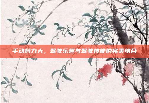 手动档力大,驾驶乐趣与驾驶技能的完美结合