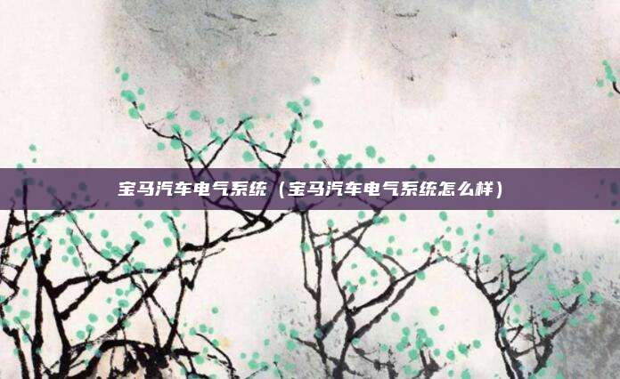 宝马汽车电气系统（宝马汽车电气系统怎么样）
