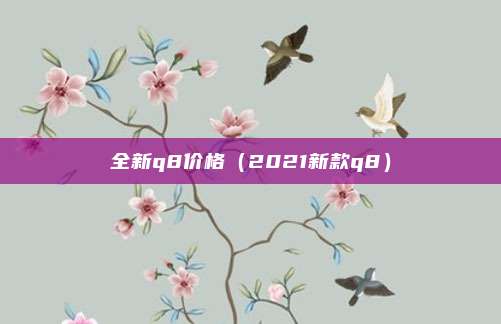 全新q8价格（2021新款q8）