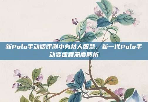 新Polo手动版评测小身材大智慧,新一代Polo手动变速器深度解析