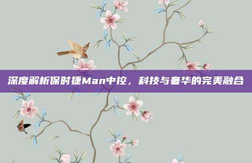 深度解析保时捷Man中控,科技与奢华的完美融合