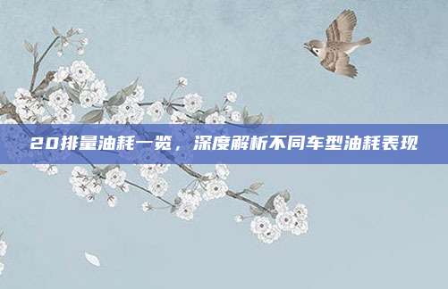 20排量油耗一览，深度解析不同车型油耗表现