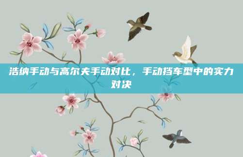 浩纳手动与高尔夫手动对比,手动挡车型中的实力对决