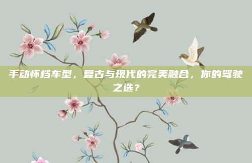 手动怀档车型,复古与现代的完美融合,你的驾驶之选?