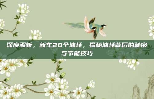 深度解析,新车20个油耗,揭秘油耗背后的秘密与节能技巧