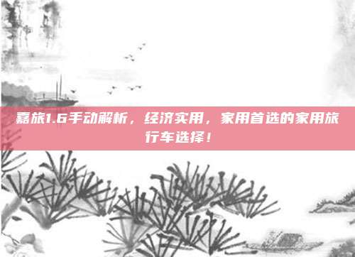 嘉旅1.6手动解析,经济实用,家用首选的家用旅行车选择!