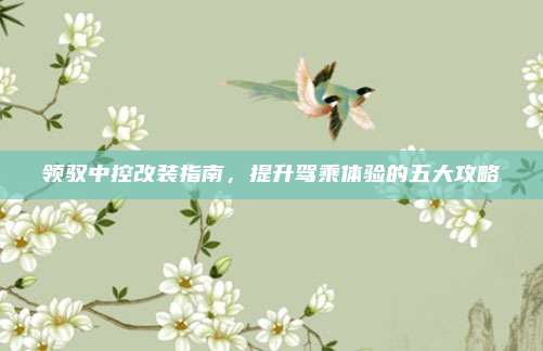 领驭中控改装指南,提升驾乘体验的五大攻略