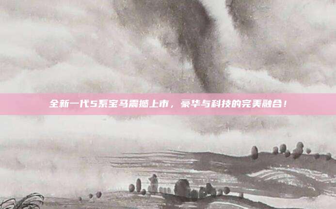 全新一代5系宝马震撼上市,豪华与科技的完美融合!