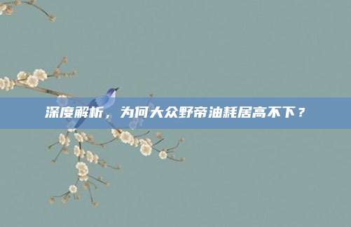 深度解析,为何大众野帝油耗居高不下?